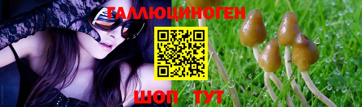 Галлюциногенные грибы GOLDEN TEACHER  как найти   Кострома  Вход с VPN 